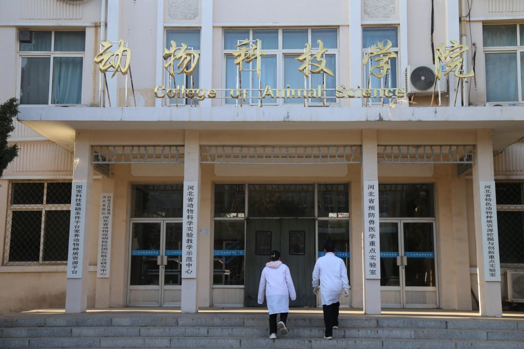 欢迎报考PA集团官网